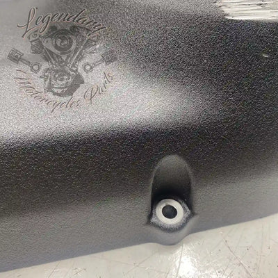 Primary Cover OEM 25700941