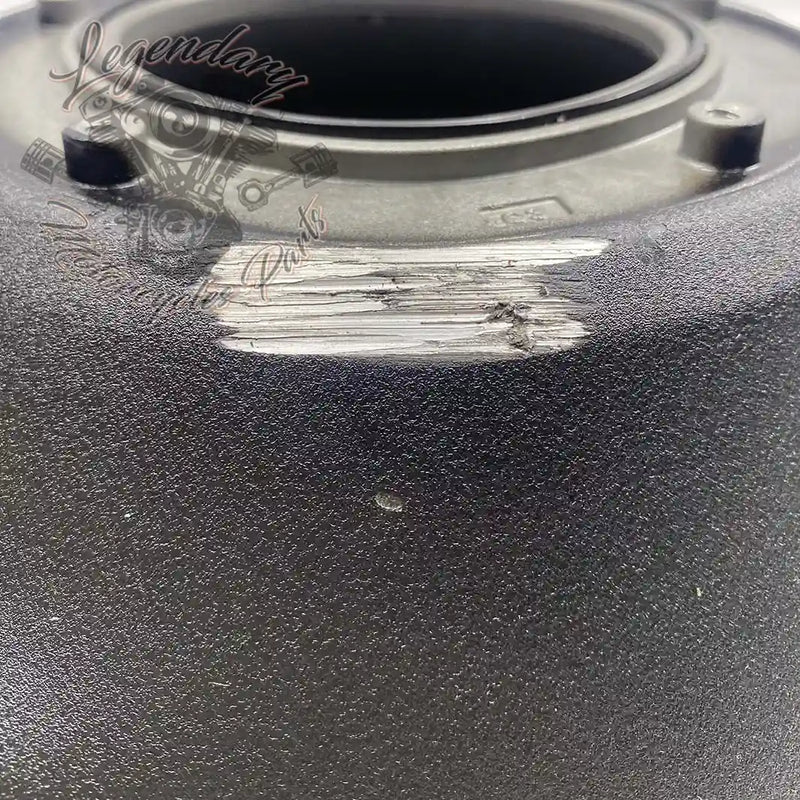 Primary Cover OEM 25700941