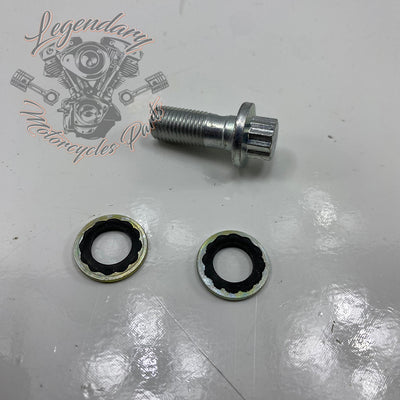 Boulon de maître cylindre de frein OEM 91500078