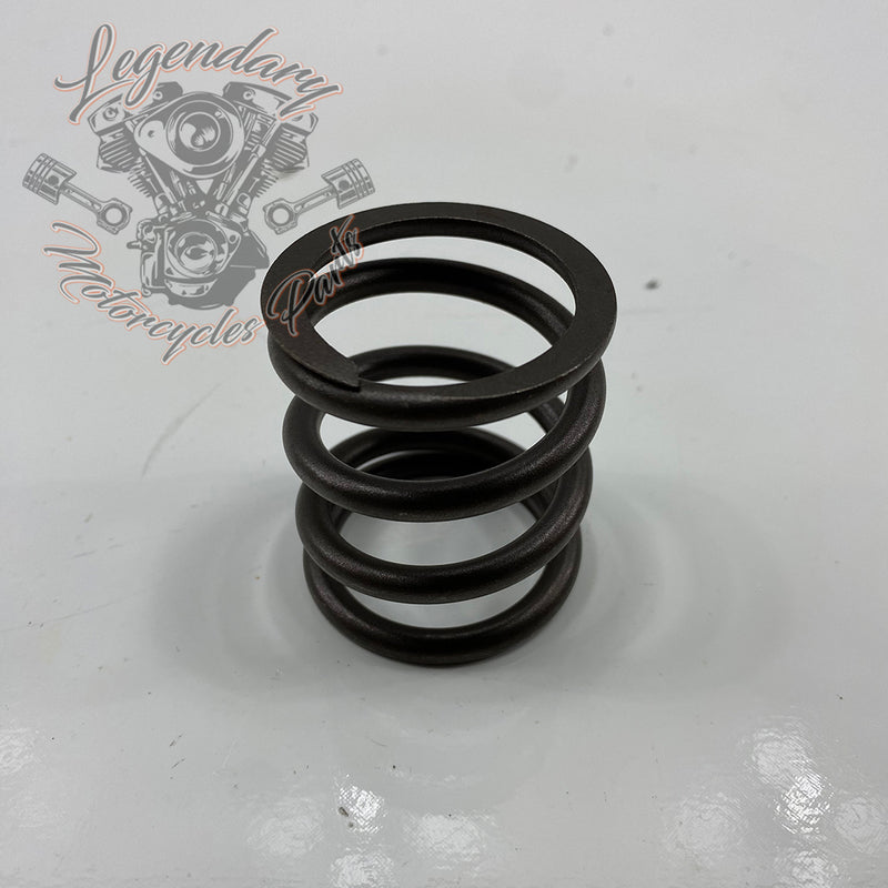 External Valve Spring OEM 18201-82