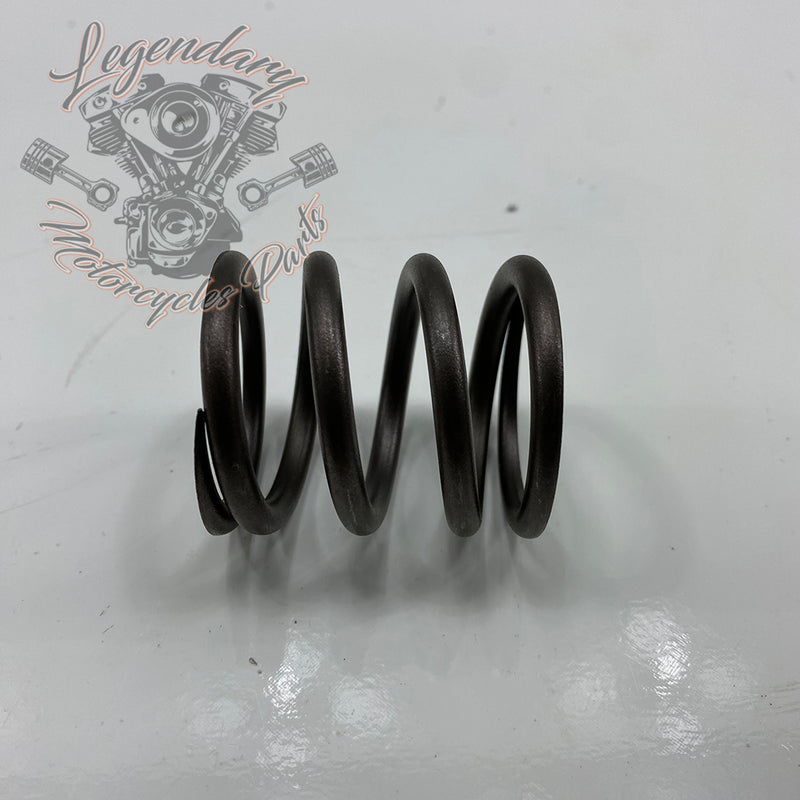 External Valve Spring OEM 18201-82