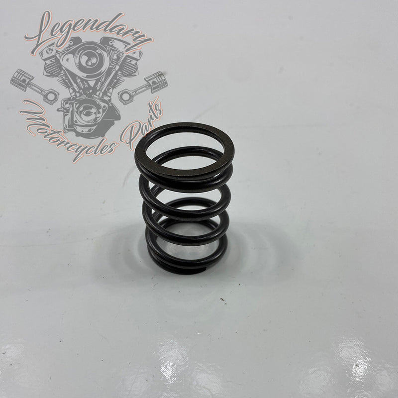 Internal Valve Spring OEM 18202-82