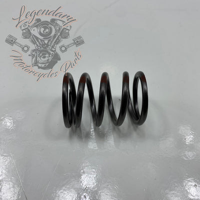 Internal Valve Spring OEM 18202-82