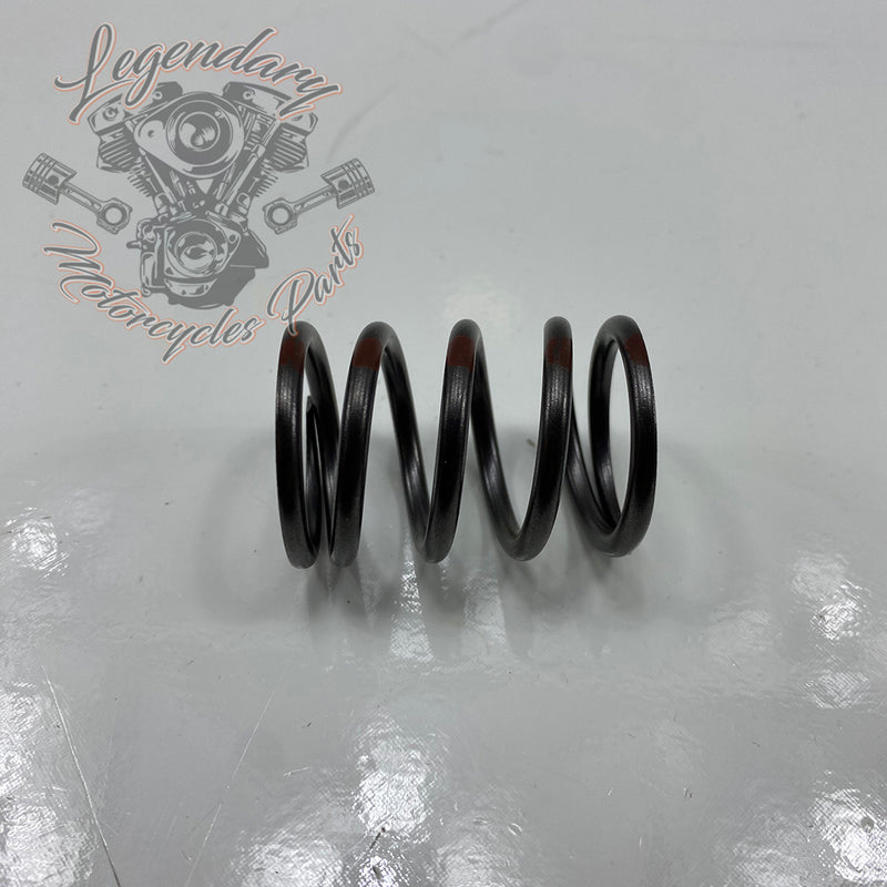 Internal Valve Spring OEM 18202-82