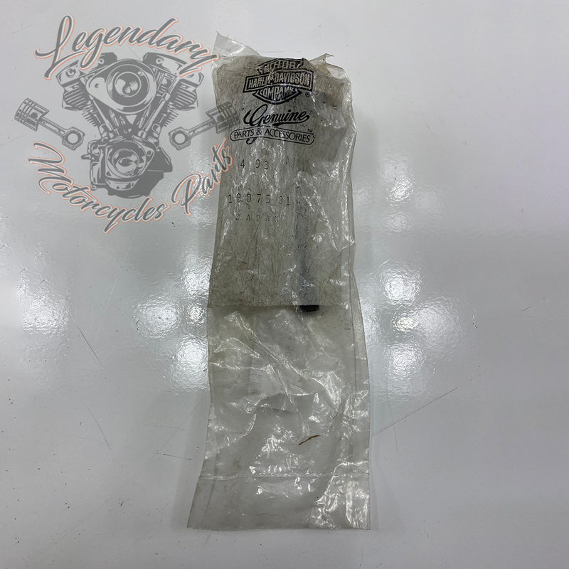 Intake Valve OEM 18075-81
