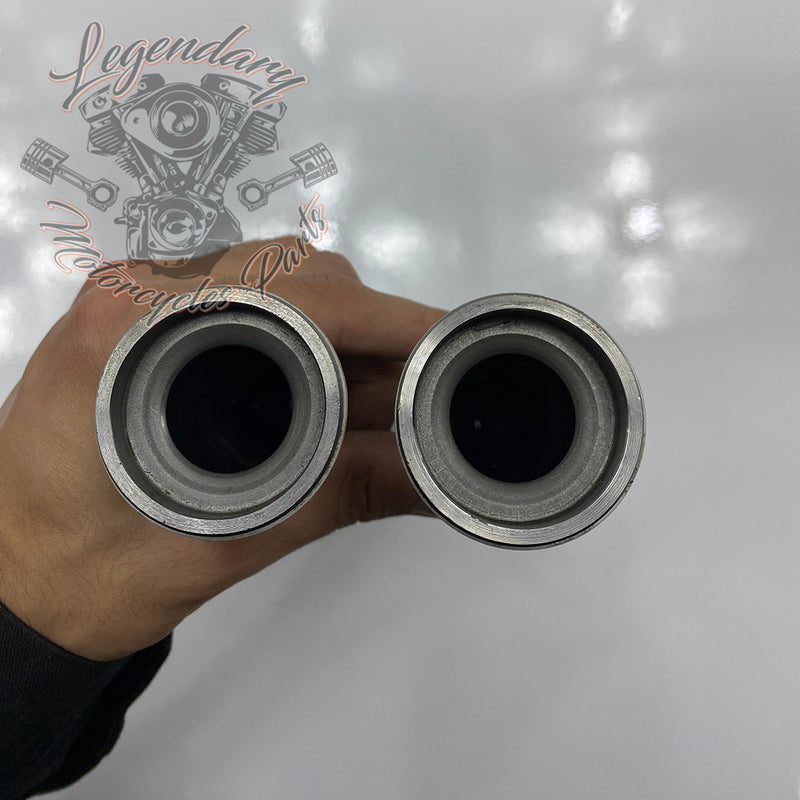Inmersión de horquilla OEM 45500339