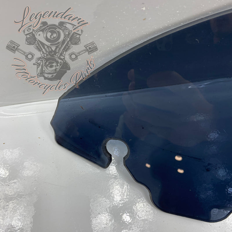 Windshield OEM 57400058