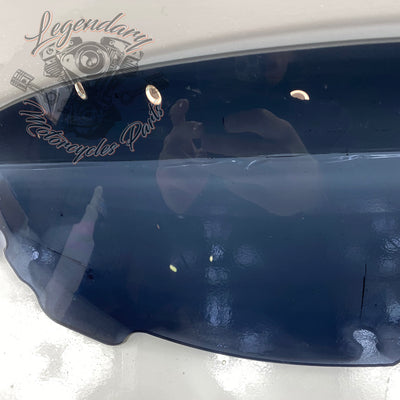 Windshield OEM 57400058
