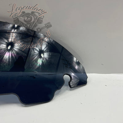 Windshield OEM 57400058