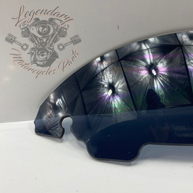 Windshield OEM 57400058