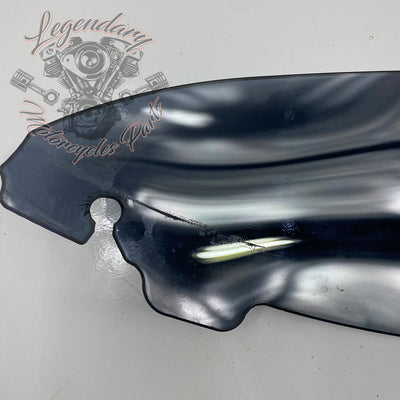 Windshield OEM 57400058