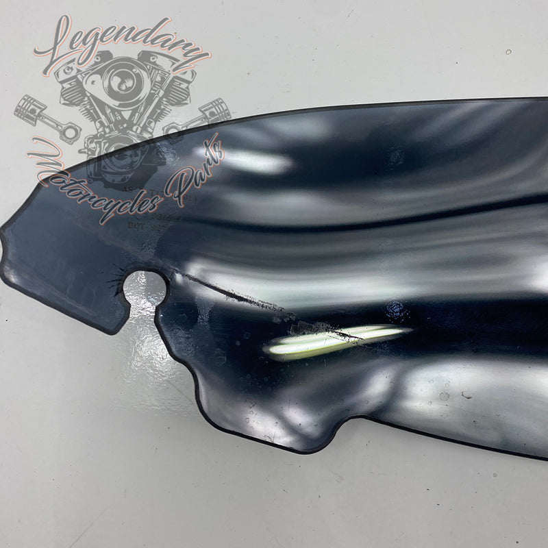 Windshield OEM 57400058