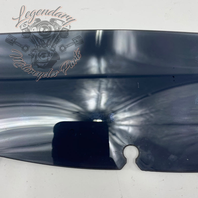 Windshield OEM 57400058