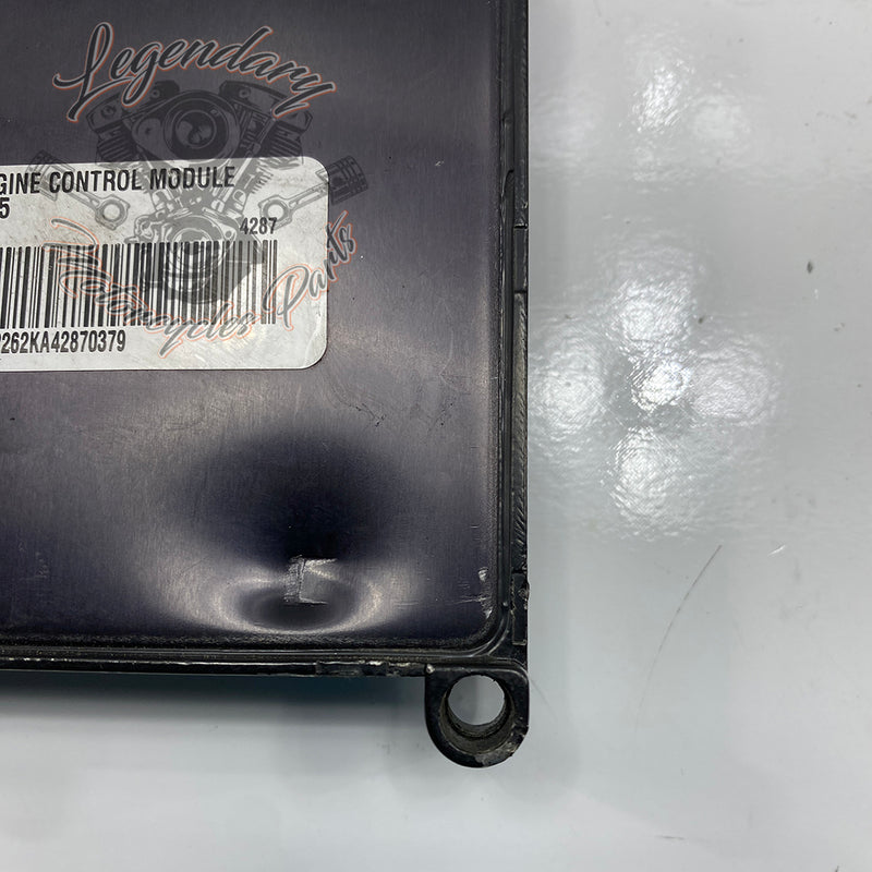 Kit de démarrage OEM 32534-05C (32498-05C)