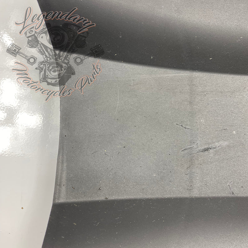 Guardabarros trasero interior OEM 59500667