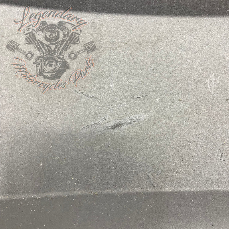 Guardabarros trasero interior OEM 59500667