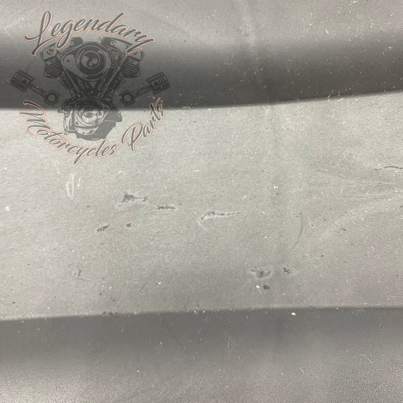 Guardabarros trasero interior OEM 59500667