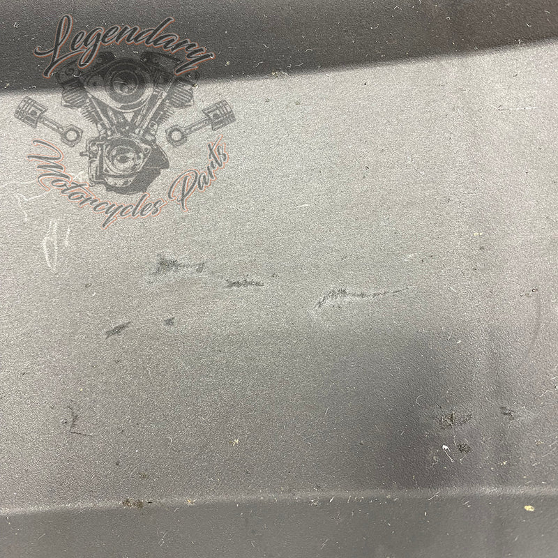 Guardabarros trasero interior OEM 59500667