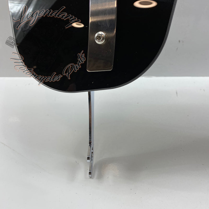 2-Tone Windshield OEM 57400341