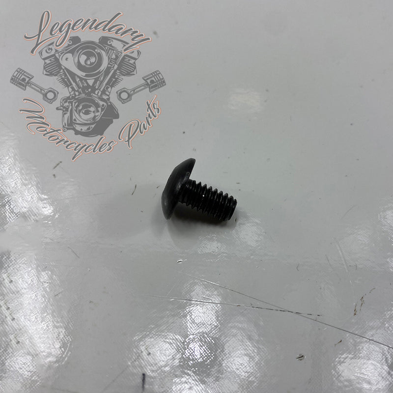 Visor OEM AA0404.11CVB