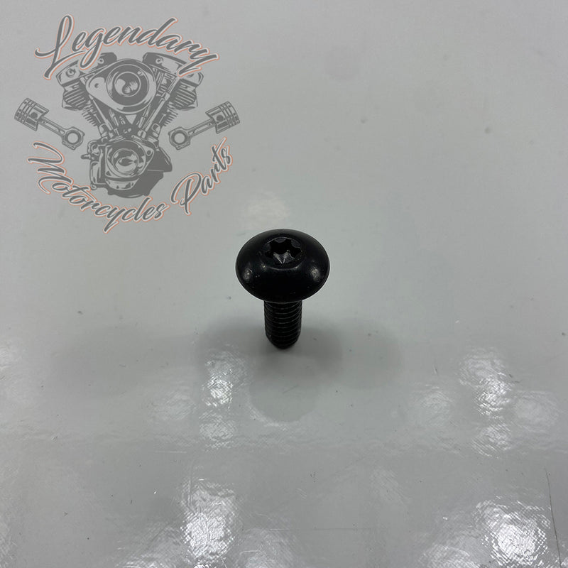 Visor OEM AA0406.11CDBL