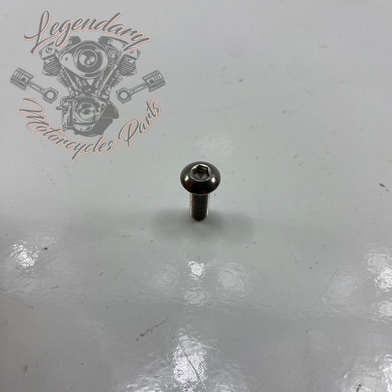 Parafuso de carenagem OEM AN1005.3FSS
