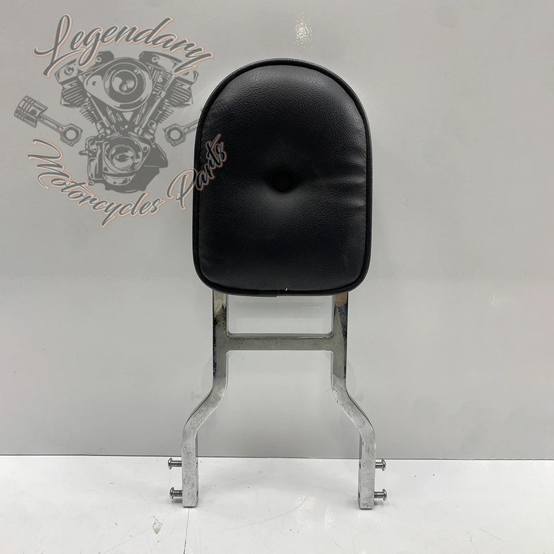 Sissy Bar