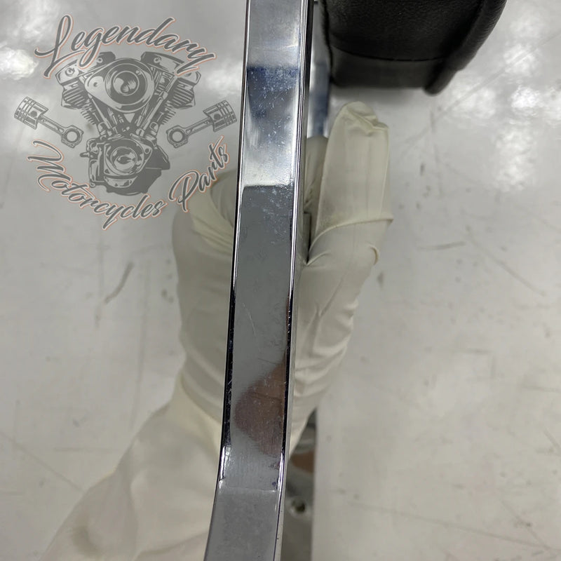 Sissy Bar
