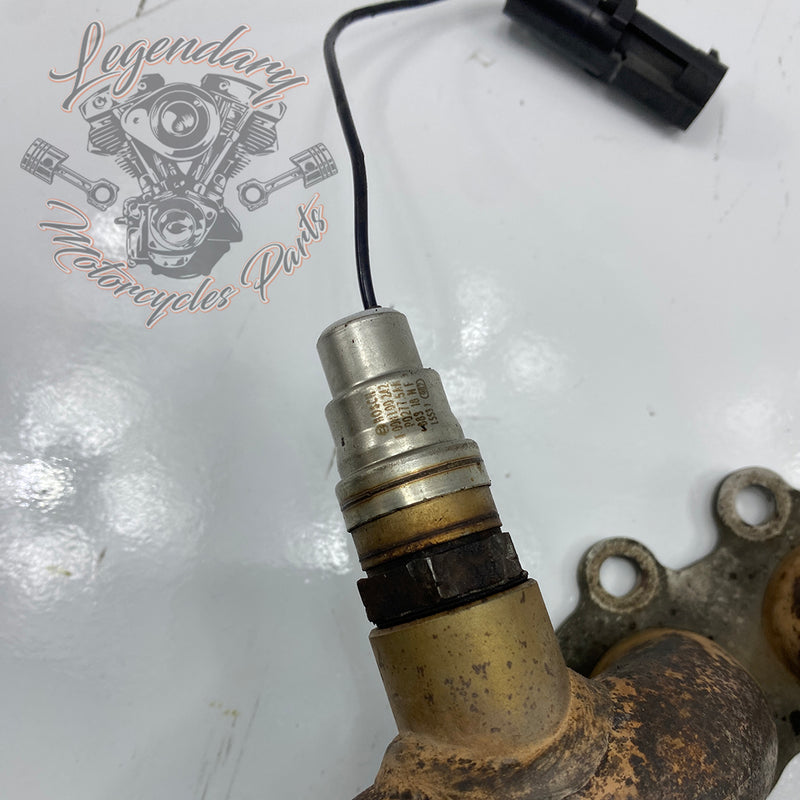 Collettore anteriore OEM S0101.1AMC