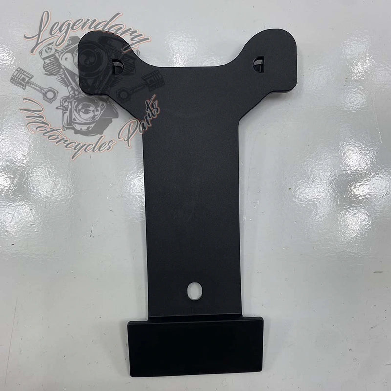 License Plate Light Bracket OEM 60123-02