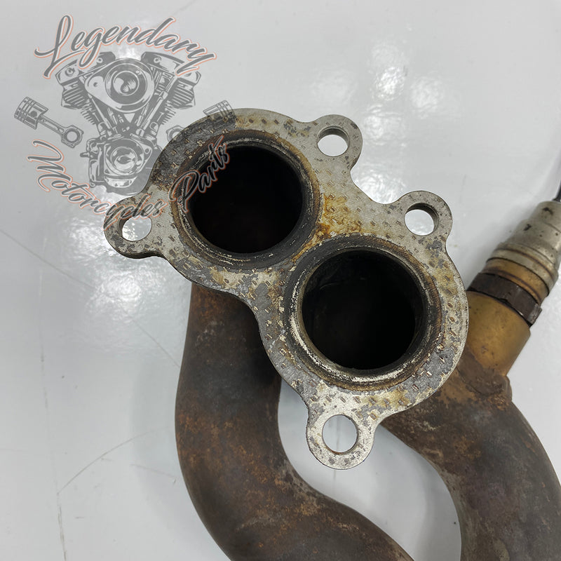 Collettore anteriore OEM S0101.1AMC