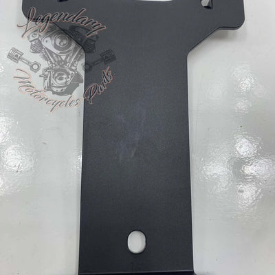 License Plate Light Bracket OEM 60123-02