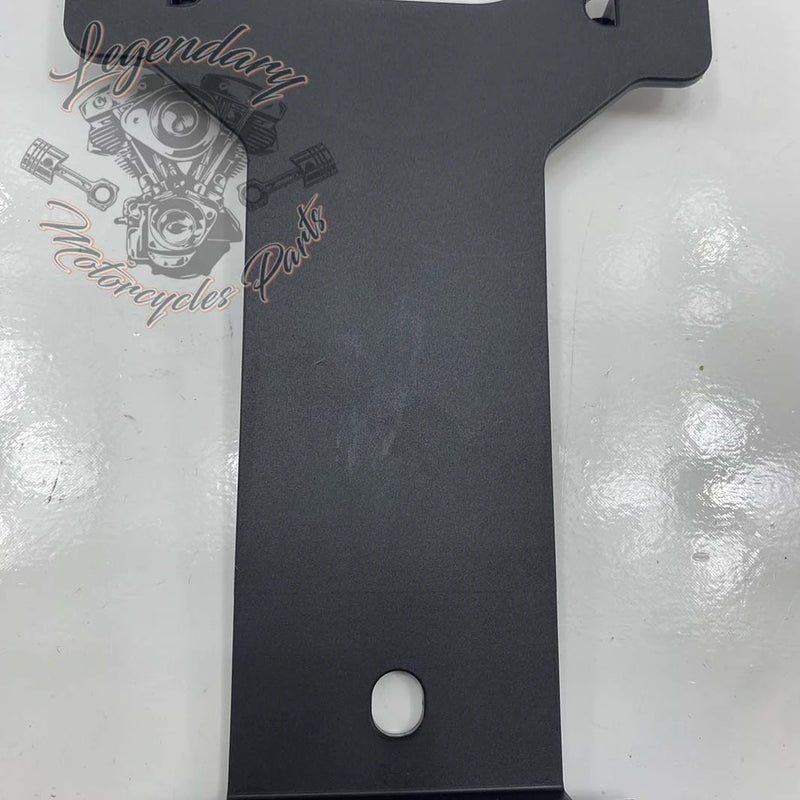 License Plate Light Bracket OEM 60123-02