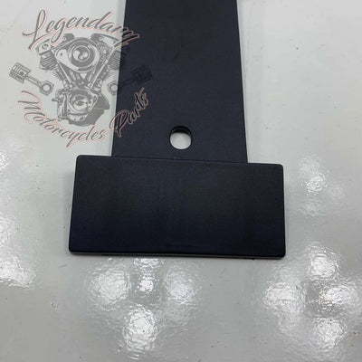 License Plate Light Bracket OEM 60123-02