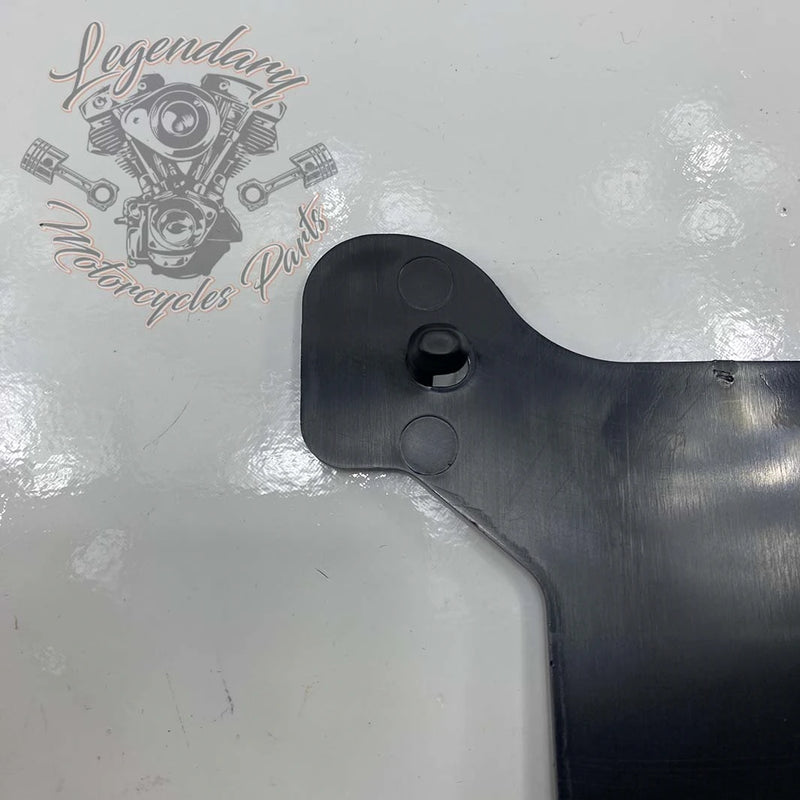 License Plate Light Bracket OEM 60123-02