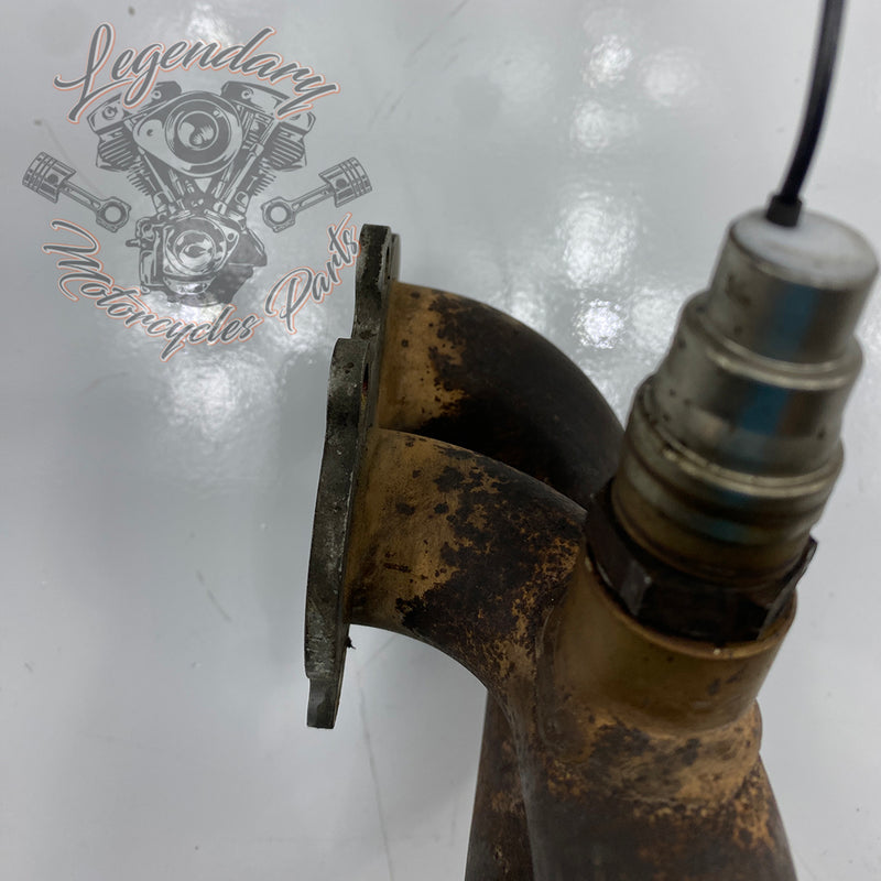 Collettore anteriore OEM S0101.1AMC