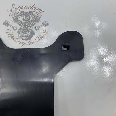 License Plate Light Bracket OEM 60123-02