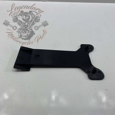 License Plate Light Bracket OEM 60123-02