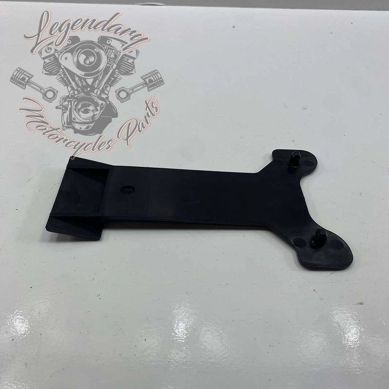 License Plate Light Bracket OEM 60123-02