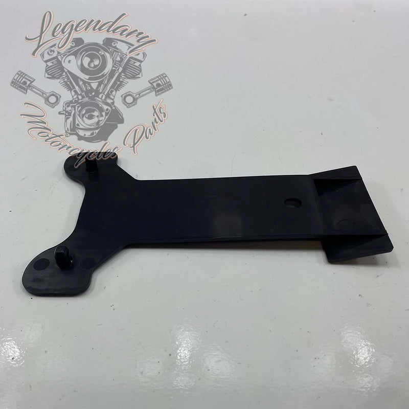 License Plate Light Bracket OEM 60123-02