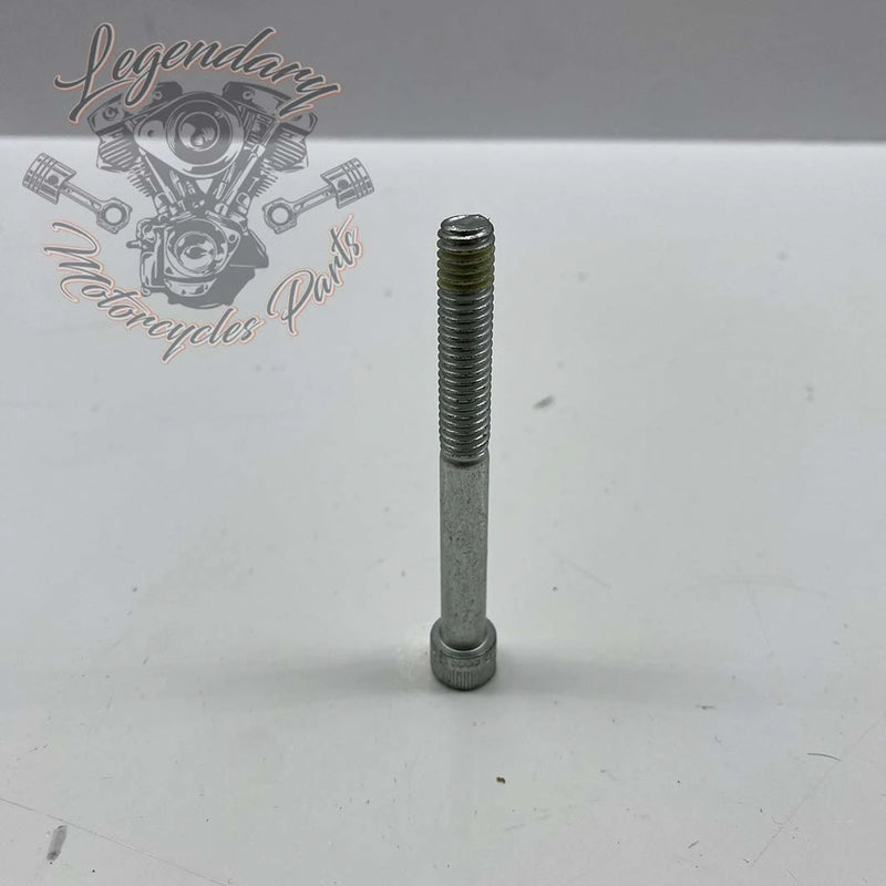 Primary Case Screw 5/16-18 X 3.0 OEM 897