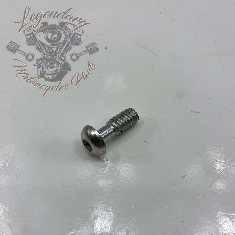 Vijačni nosilec filtra za zrak 1/4-20 X 3/4 OEM 864