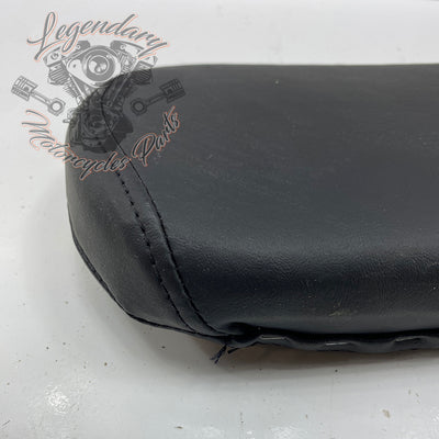 Sissy bar cushion