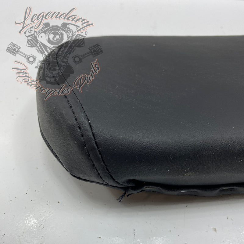 Sissy bar cushion