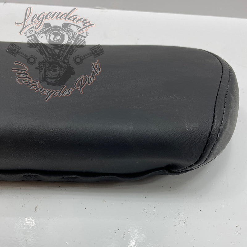 Sissy bar cushion