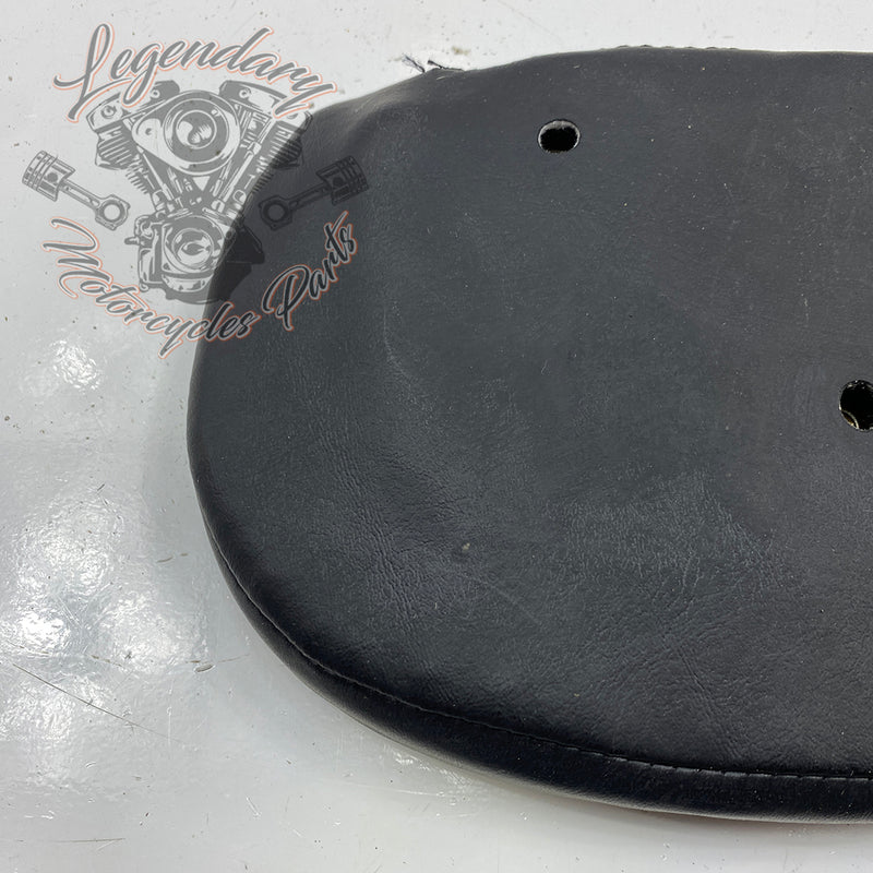 Sissy bar cushion