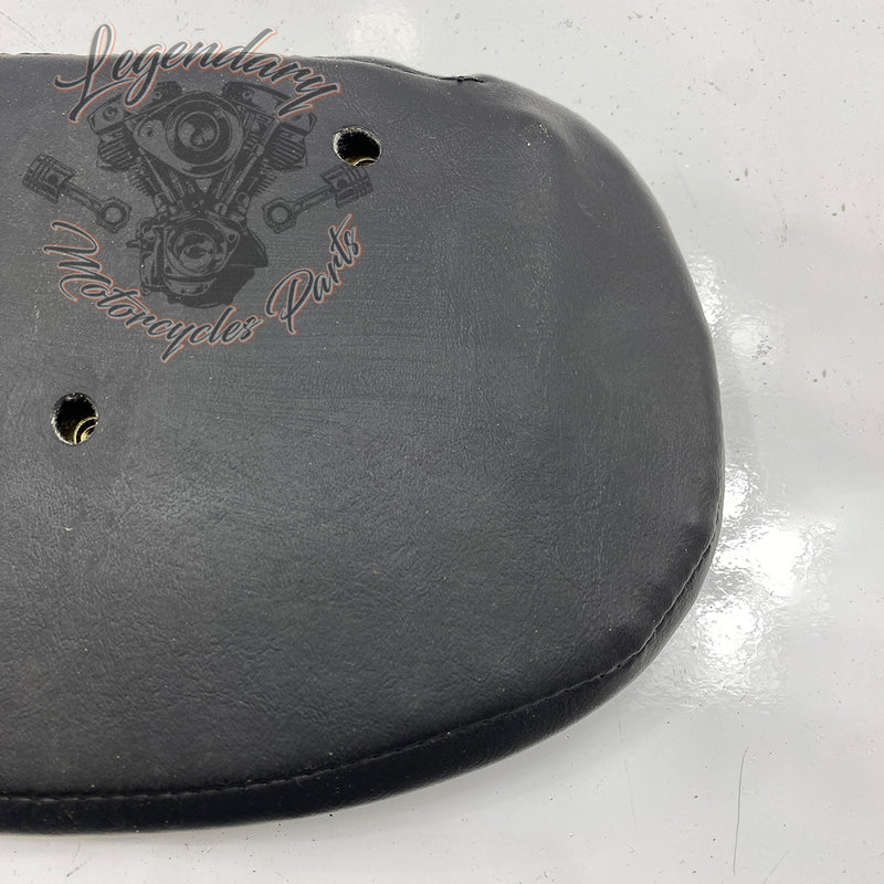 Sissy bar cushion