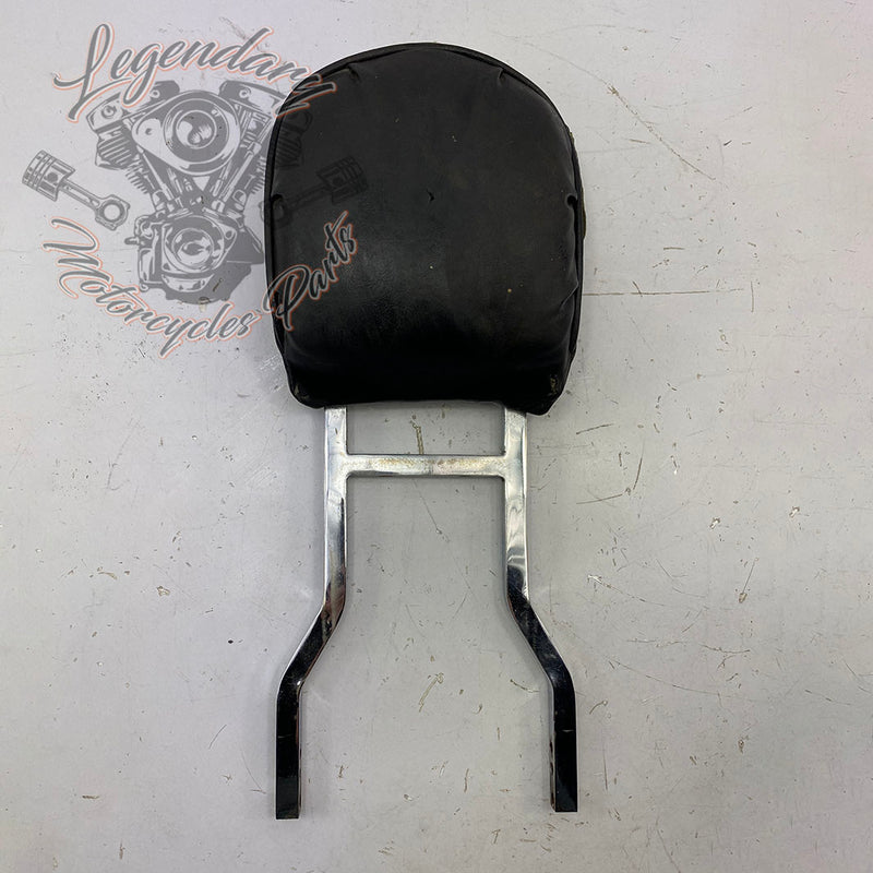 Sissy bar upright and cushion