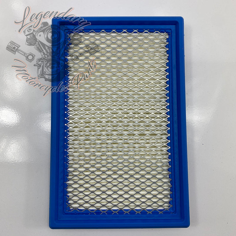 Elemento filtrante OEM P0213.1AMA