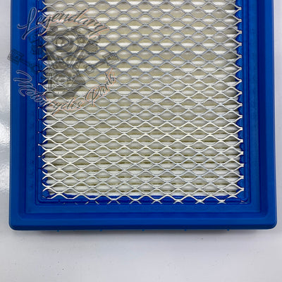 Elemento filtrante OEM P0213.1AMA